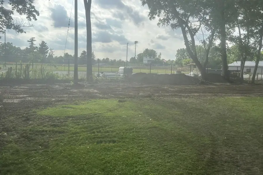 Yard and treeline after the ground was cleared and graded