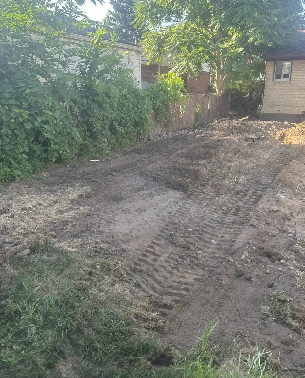 Wooded side yard opened up and taken down to bare dirt