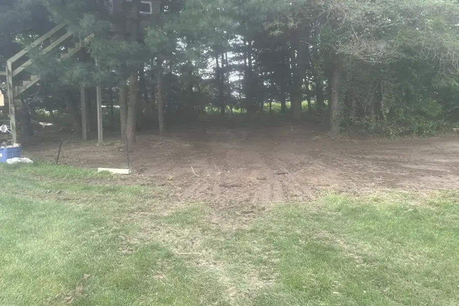 Treeline at the back of a property with the undergrowth cleared out