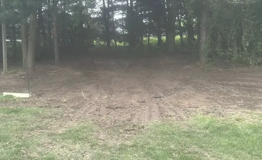 Back of a property with the brush cleared out under the trees