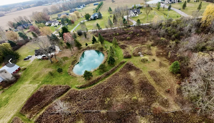 Overgrown ground around a pond before clearing